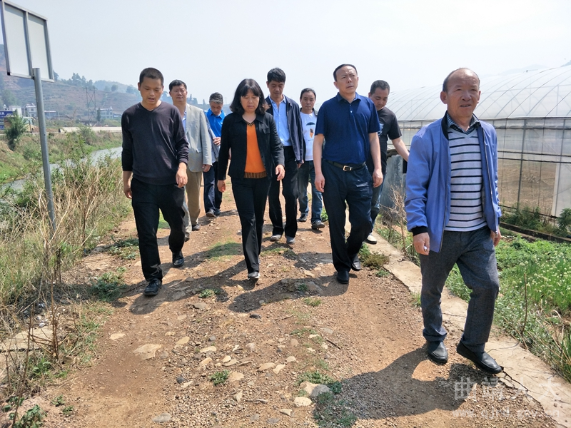 宣威市人大常委会调研组到海岱镇调研土地流转工作