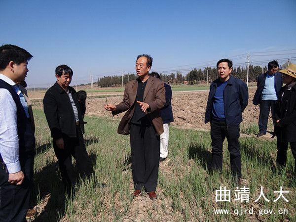 ���˴�ί�ḱ������鸨��մ���Ӳ쿹������