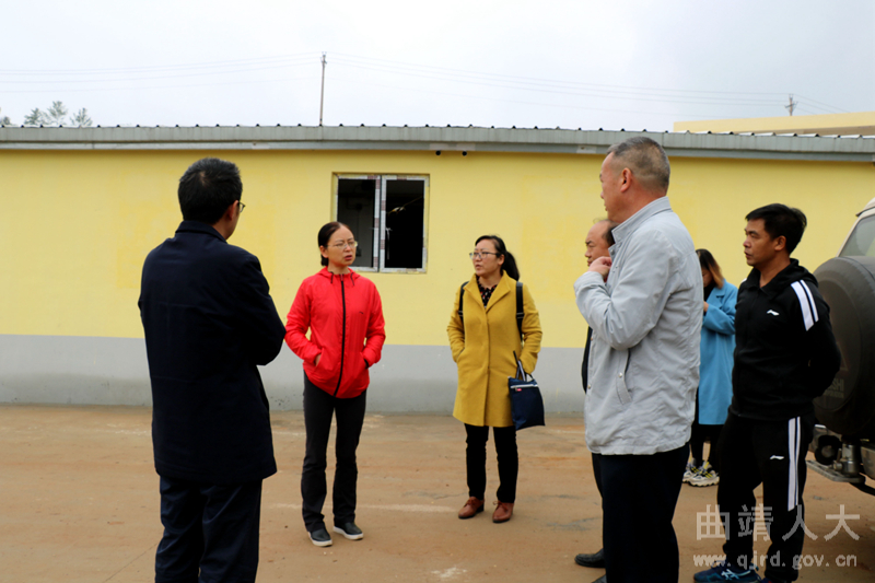 富源县人大常委会到大河镇调查生猪产业发展情况4_副本.jpg