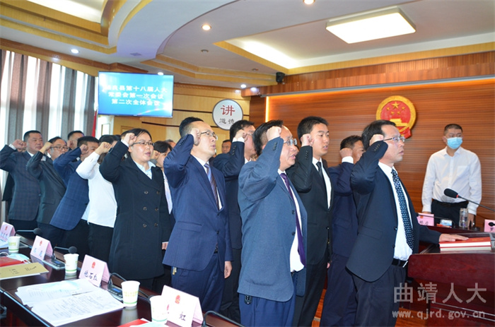 26.县第十八届人民代表大会专委组成人员向宪法宣誓_副本.jpg