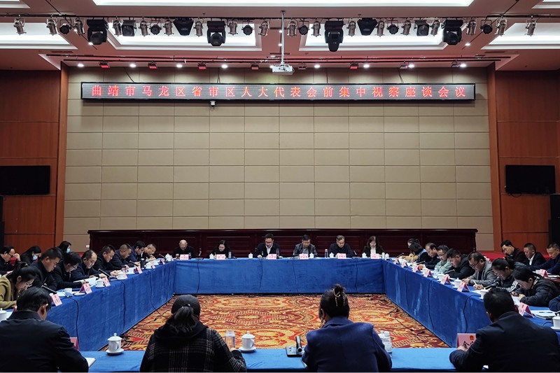 马龙区省、市、区人大代表会前视察座谈会_副本.jpg