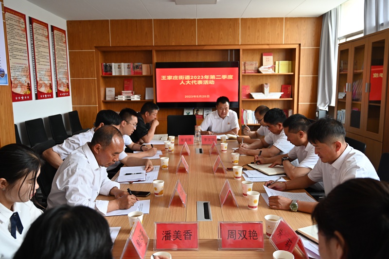 马龙区人大常委会王家庄街道工委组织人大代表开展活动_副本.jpg