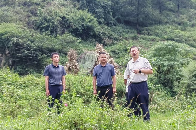 微信图片_20240911105453_副本.jpg