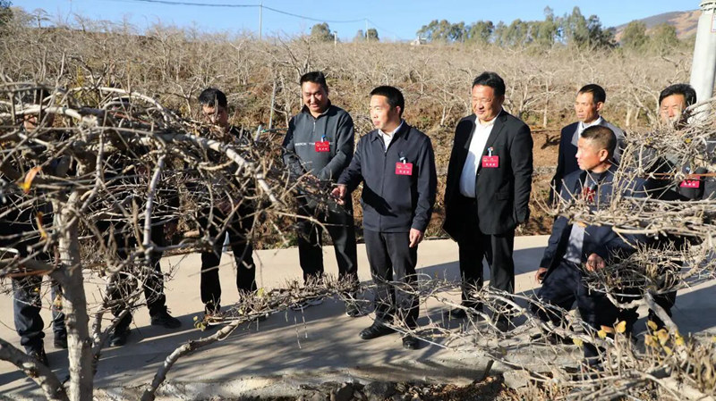 △驻室代表实地查看农业生产情况。高志苹 摄_副本.jpg △驻室代表实地查看农业生产情况。高志苹 摄_副本.jpg