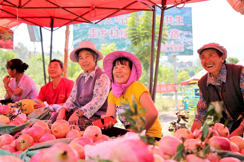 当地农户在路边临时摆摊售卖石榴。尹永权 摄 (1)_副本.jpg